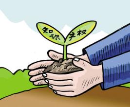 商標(biāo)續(xù)展才是保護商標(biāo)的優(yōu)質(zhì)之選？（已解決）