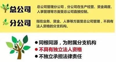 注冊子公司好還是分公司好，子公司和分公司有什么區(qū)別？